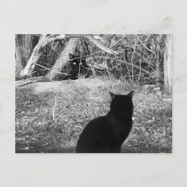 Carte Postale Est-ce moi ? (Devant)