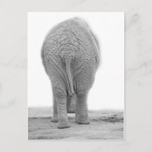 Carte Postale Est-ce que mon cul est gros