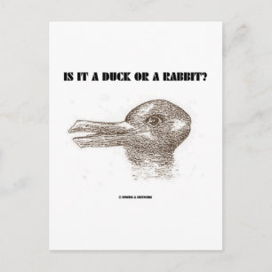 Carte Postale Est-Ce Un Canard Ou Un Lapin ? (Illusion optique)