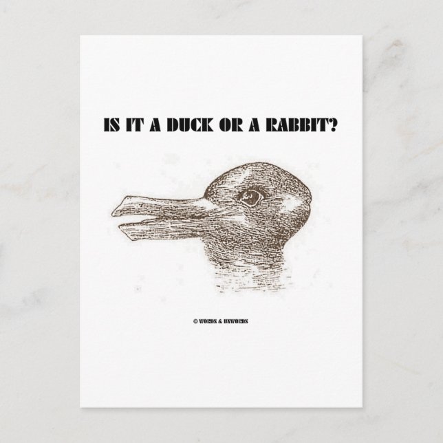 Carte Postale Est-Ce Un Canard Ou Un Lapin ? (Illusion optique) (Devant)