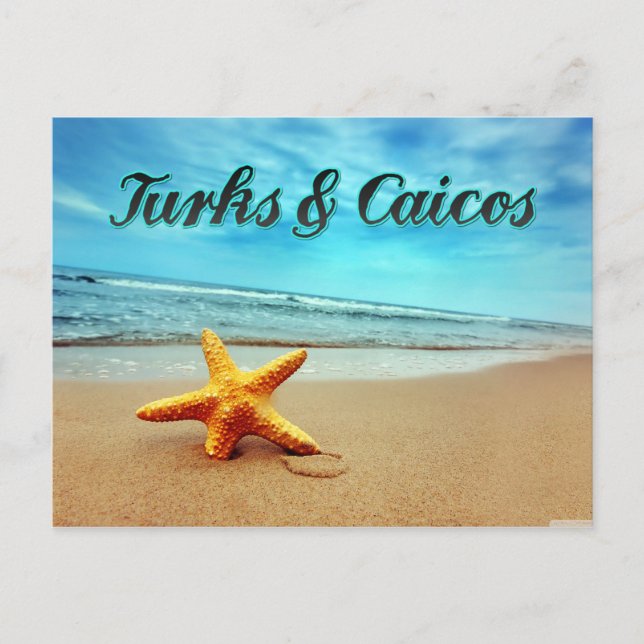Carte Postale Estarfish Turks & Caicos (Devant)