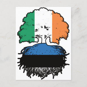 Carte Postale Estonia Estonian Irish Ireland Tree Roots