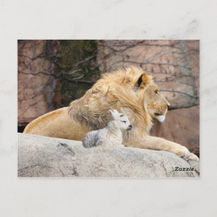 Carte Postale Et le lion se couchera avec l'agneau