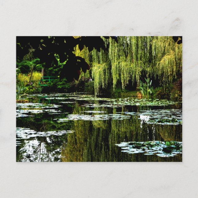 Carte Postale Étang de Lily avec saules de Monet, Giverny, Franc (Devant)