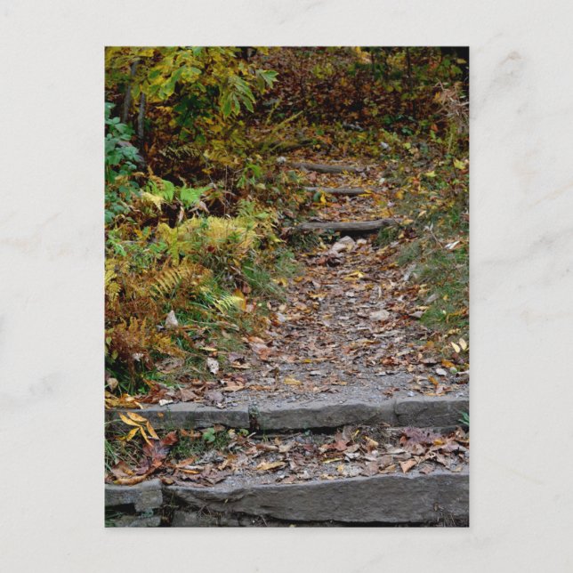 Carte Postale Étapes vers le sentier des applachiens (Devant)