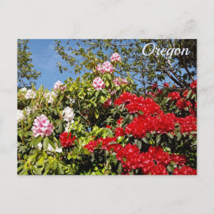 Carte Postale État de l'Oregon