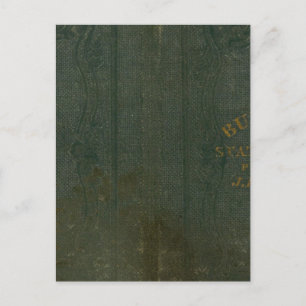 Carte Postale État de New York par DH Burr 2