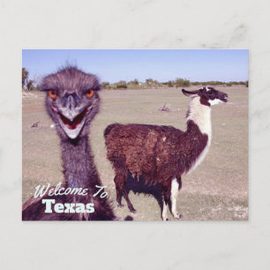 Carte Postale État du Texas