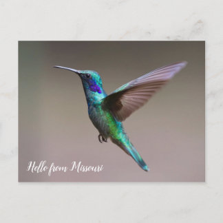 Carte Postale État personnalisé des colibris colorés