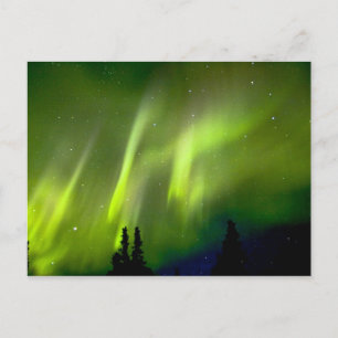 Carte Postale États-Unis, Alaska, Chena Hot Springs. Aurore 3