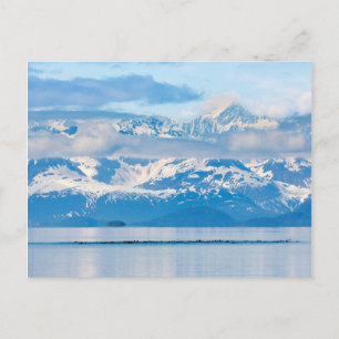 Carte Postale États-Unis, Alaska, Parc national de Glacier Bay 7
