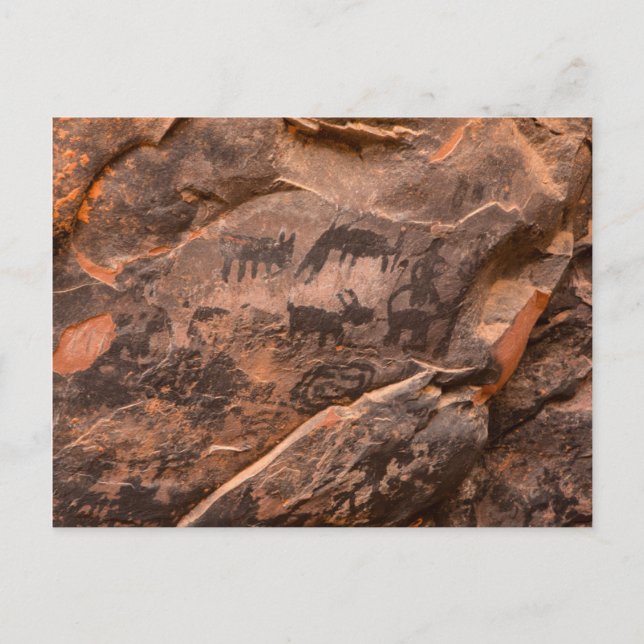 Carte Postale États-Unis, Arizona, Forêt nationale de Coconino,  (Devant)