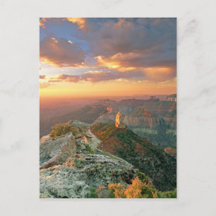 Carte Postale États-Unis, Arizona, Parc national du Grand Canyon