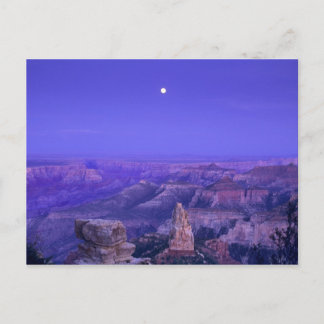 Carte Postale États-Unis, Arizona, Parc national du Grand Canyon