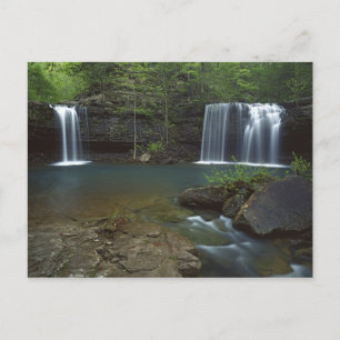Carte Postale États-Unis, Arkansas, Ozark- St Francis National