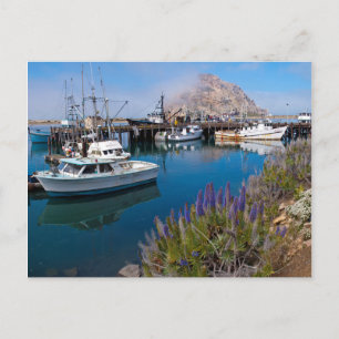 Carte Postale États-Unis, Californie. Bateaux amarrés à Morro Ba