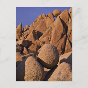 Carte Postale États-Unis, Californie, Parc national de Joshua Tr