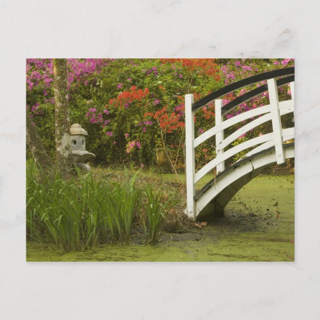Carte Postale États-Unis; Caroline du Sud; Charleston;2 (Devant)