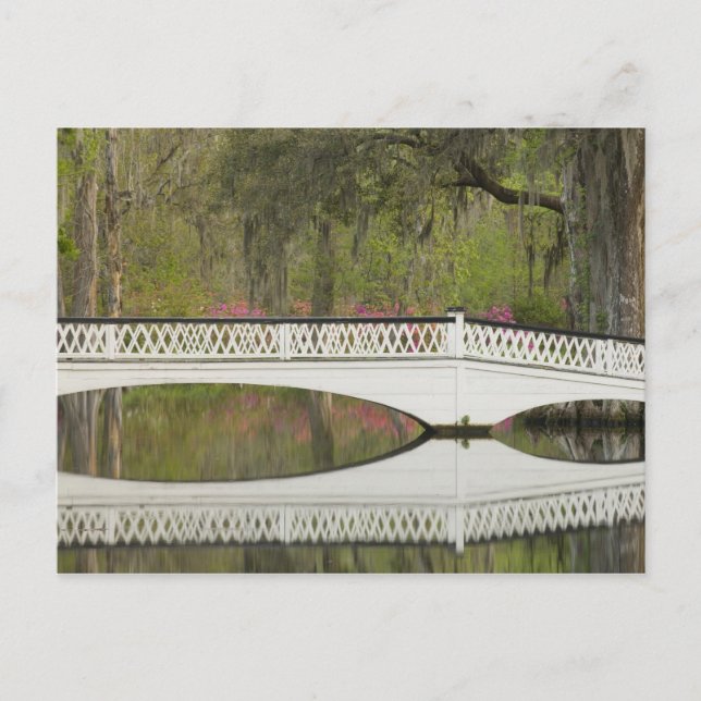 Carte Postale États-Unis; Caroline du Sud; Charleston; 3 (Devant)
