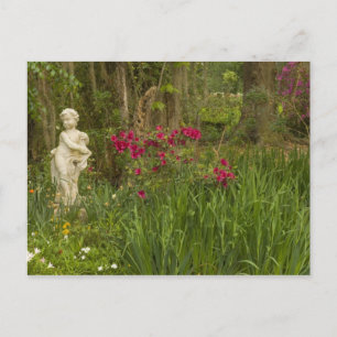 Carte Postale États-Unis; Caroline du Sud; Charleston; 4
