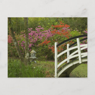 Carte Postale États-Unis; Caroline du Sud; Charleston; 5