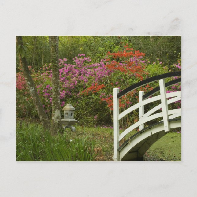 Carte Postale États-Unis; Caroline du Sud; Charleston; 5 (Devant)