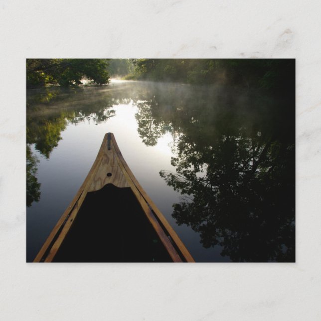 Carte Postale États-Unis, Floride, Forêt nationale d'Ocala, Alex (Devant)