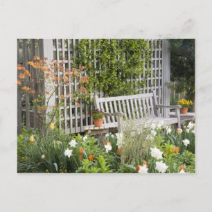 Carte Postale États-Unis, Géorgie, Pine Mountain. Chaise dans