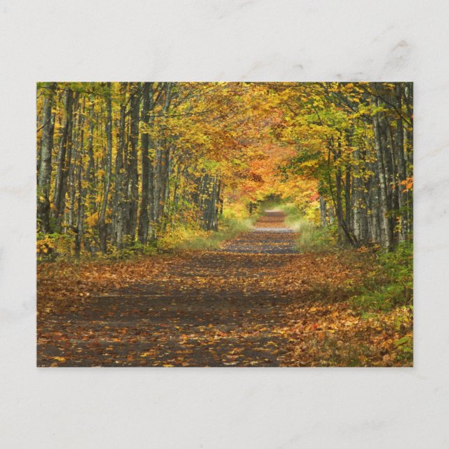 Carte Postale États-Unis, Michigan, péninsule supérieure. Route  (Devant)