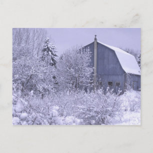 Carte Postale États-Unis, Michigan, Rochester Hills. Bleu neigeu