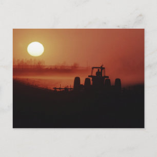 Carte Postale États-Unis, Mississippi, champ de coton sous décom