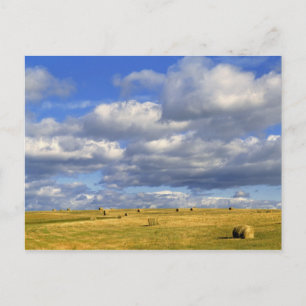 Carte Postale États-Unis, Nebraska, comté de Morrill. Héroïne do