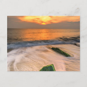 Carte Postale États-Unis, New Jersey, cap May. Capitaine May 2