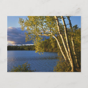 Carte Postale États-Unis, New York, Parc et réserve Adirondack