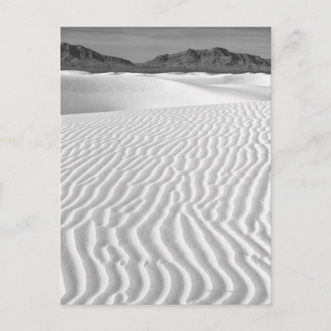 Carte Postale Etats-Unis, Nouveau-Mexique, Sables blancs (Devant)