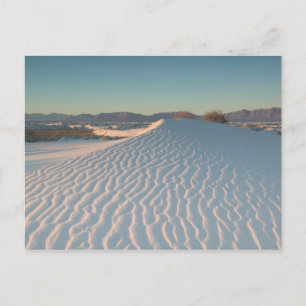 Carte Postale États-Unis, Nouveau-Mexique, White Sands National