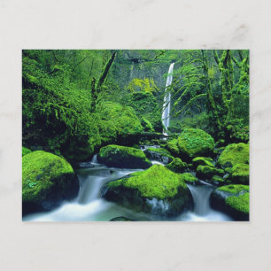 Carte Postale États-Unis, Oregon, Columbia River Gorge National 