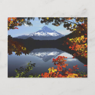 Carte Postale États-Unis, Oregon, Mt. Hood National Forest.