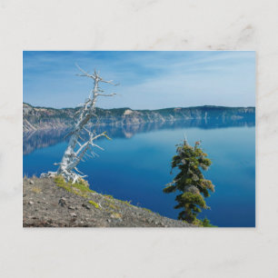 Carte Postale États-Unis, Oregon, Parc national de Crater Lake 4