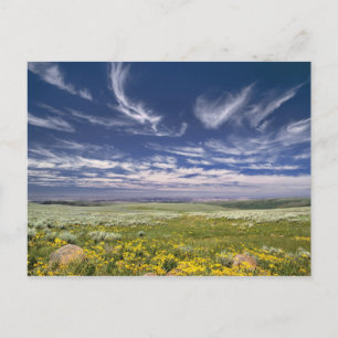 Carte Postale États-Unis, Oregon, Steens Mountain. Le printemps 