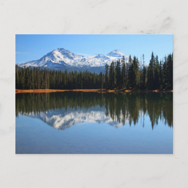 Carte Postale États-Unis, Oregon, Willamette National Forest 2 (Devant)