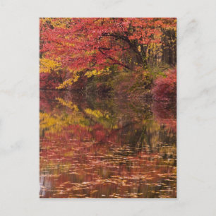 Carte Postale États-Unis, Pennsylvanie, Delaware Water Gap Natio