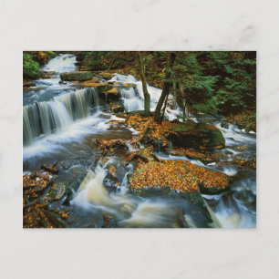 Carte Postale États-Unis, Pennsylvanie, Ricketts Glen State Park