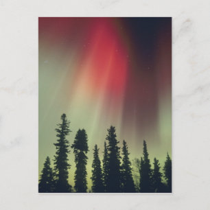 Carte Postale États-Unis, région de Fairbanks, Alaska central, A