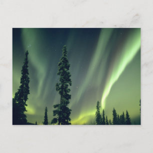Carte Postale États-Unis, région de Fairbanks, Alaska central, A