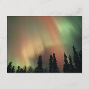 Carte Postale États-Unis, région de Fairbanks, centre de l'Alask