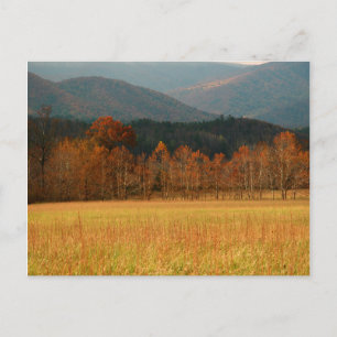 Carte Postale États-Unis, Tennessee. Cades Cove dans Smoky Mount