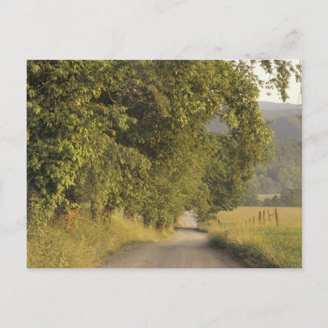 Carte Postale États-Unis, Tennessee, Great Smoky Mountains Natio (Devant)