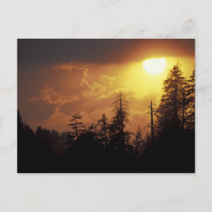 Carte Postale États-Unis, Tennessee, Great Smoky Mountains NP. 2