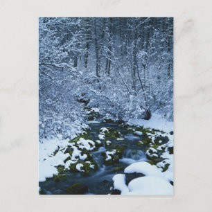 Carte Postale États-Unis, Utah, Forêt nationale de Wasatch-Catch